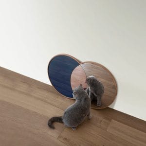 Eclipse Mirror with cat