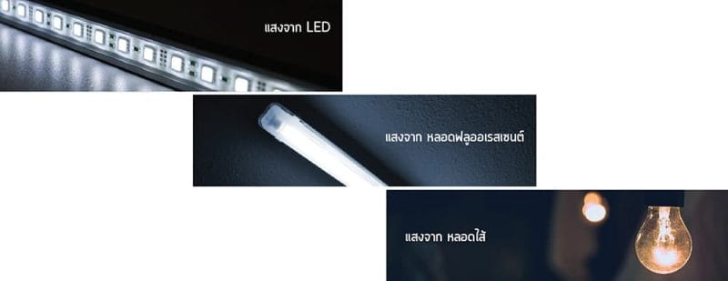 แสงไฟจากไฟ 3 ชนิด